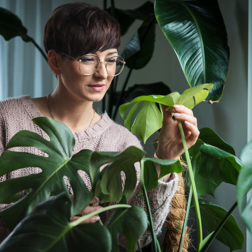 Our Commitment to Natural Beauty: Sera Organics' Promise to You