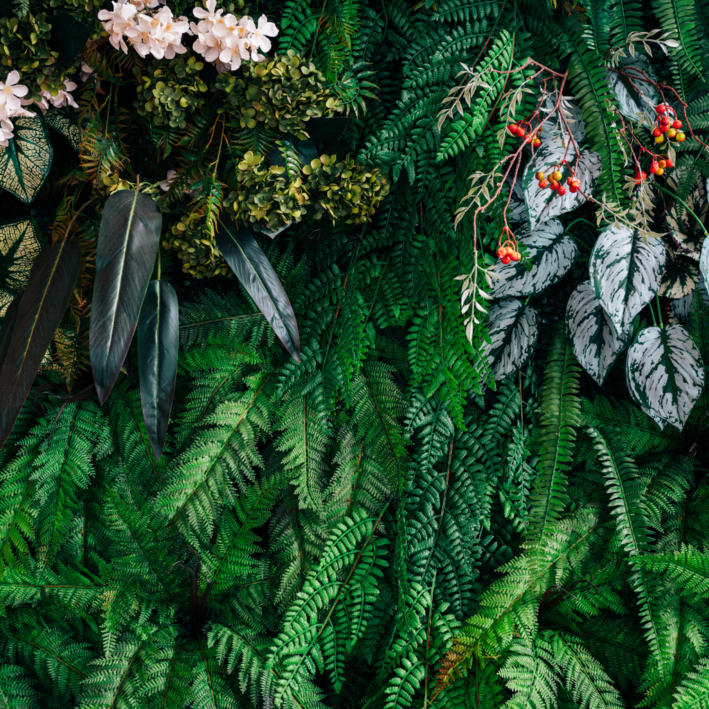 The Essence of Nature: Discover the Purity of Sera Organics' Skincare